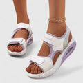 White/Purple